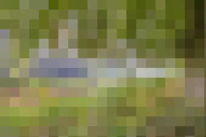 Hortensiastraat 26 Sint-Michielsgestel thumbnail 48