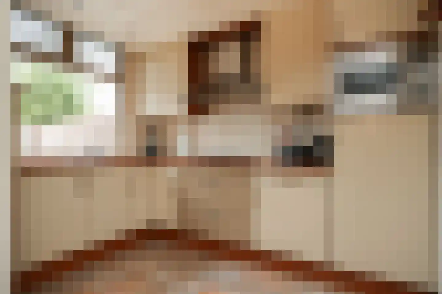Hortensiastraat 27 Drunen thumbnail 10