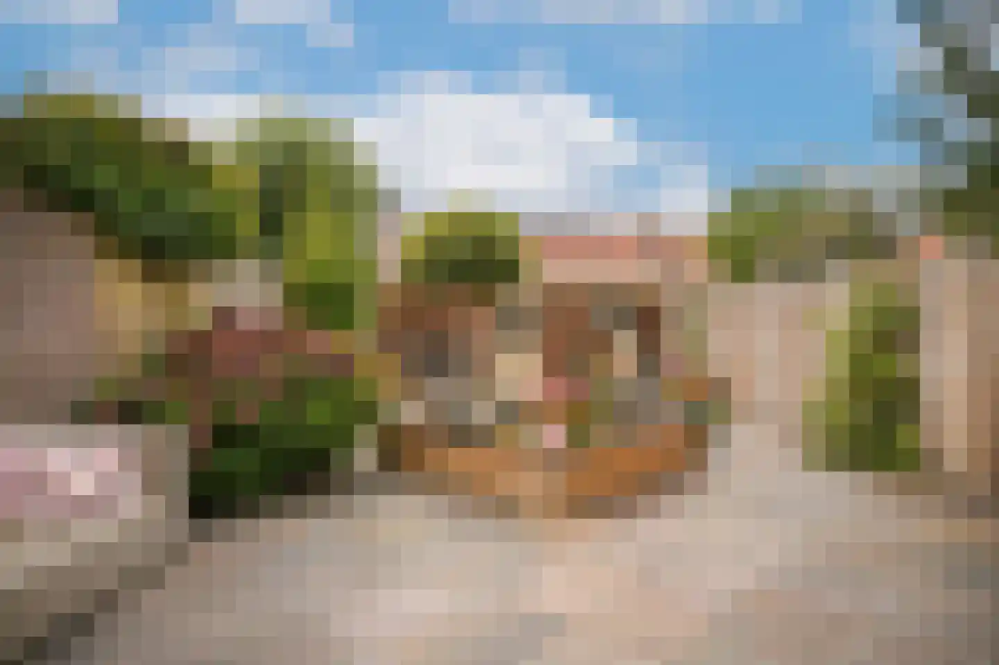 Hortensiastraat 27 Drunen thumbnail 22