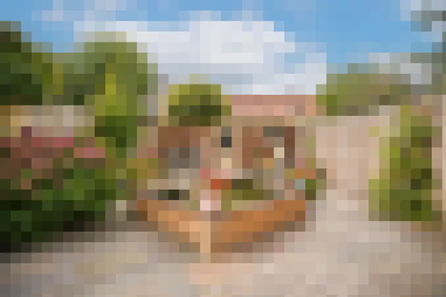 Hortensiastraat 27 Drunen foto 3