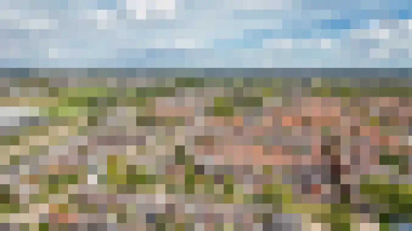 Hortensiastraat 27 Drunen thumbnail 30