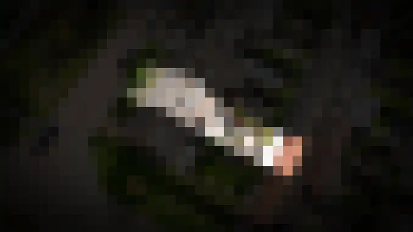 Hortensiastraat 27 Drunen thumbnail 31