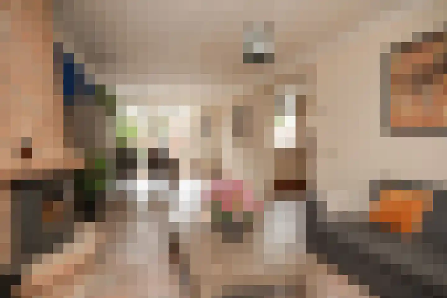 Hortensiastraat 27 Drunen thumbnail 9