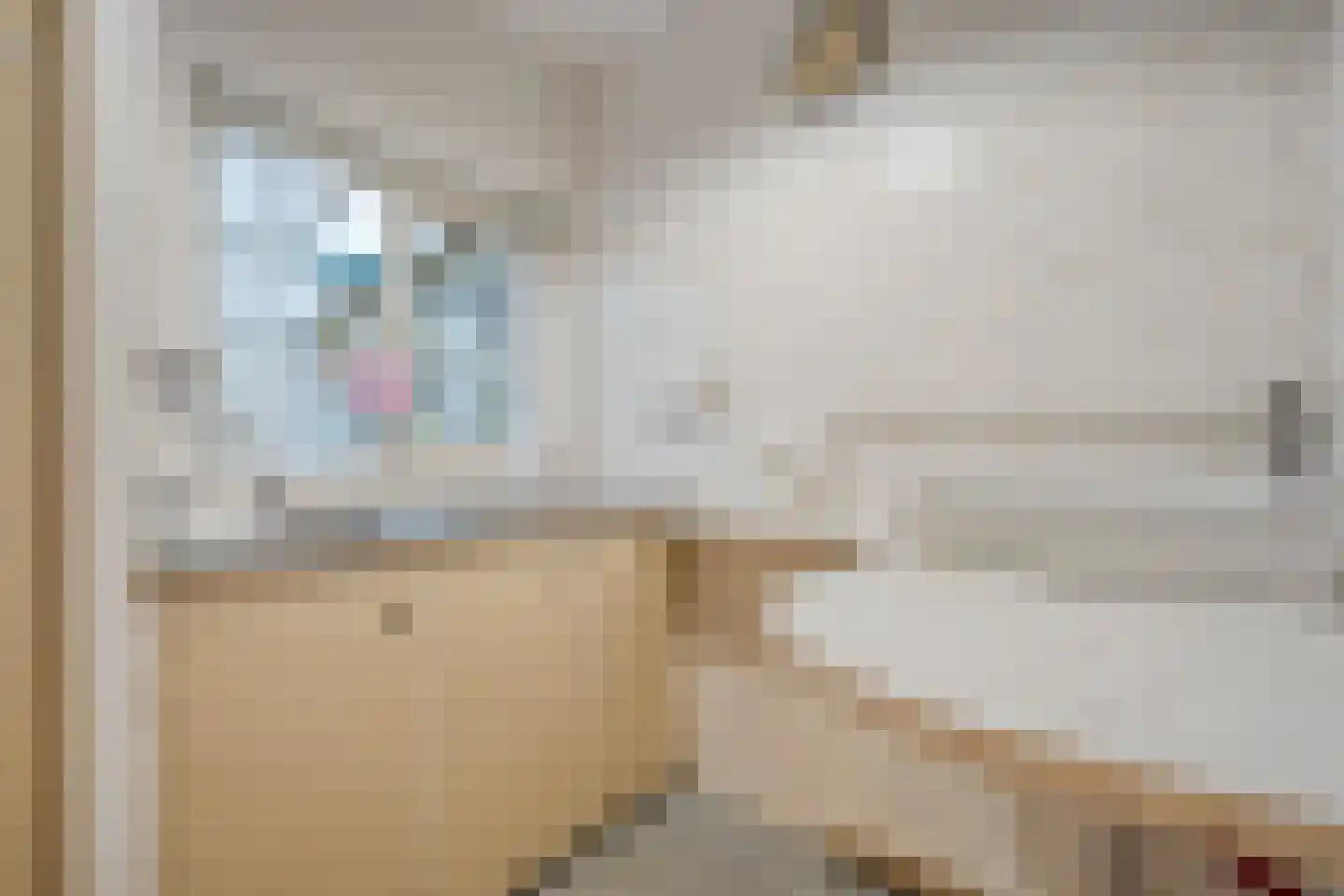 Hortensiastraat 28 Dedemsvaart thumbnail 10