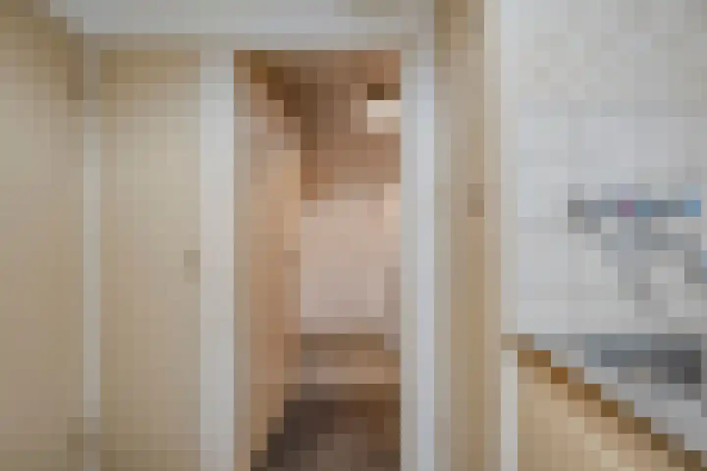 Hortensiastraat 28 Dedemsvaart thumbnail 16
