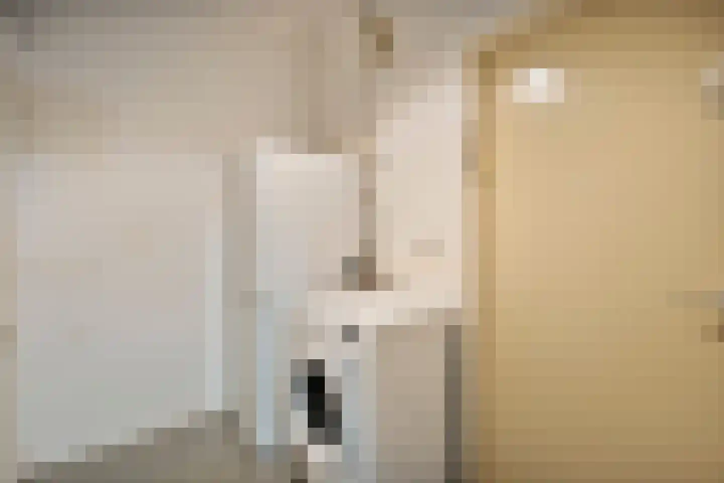 Hortensiastraat 28 Dedemsvaart thumbnail 17