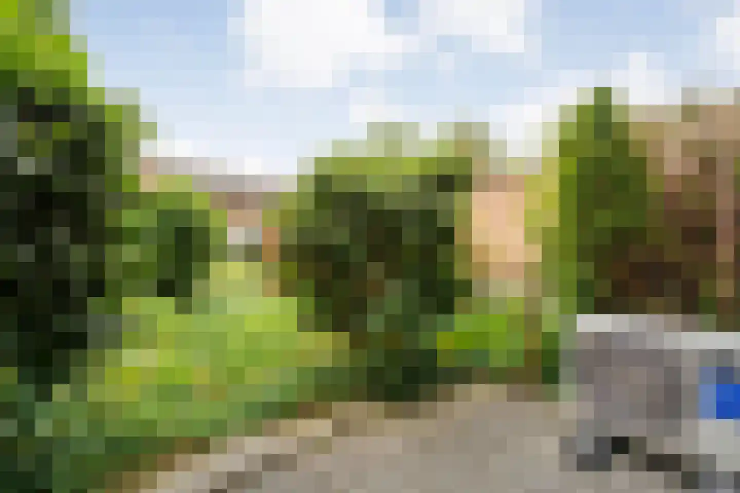 Hortensiastraat 28 Dedemsvaart thumbnail 20