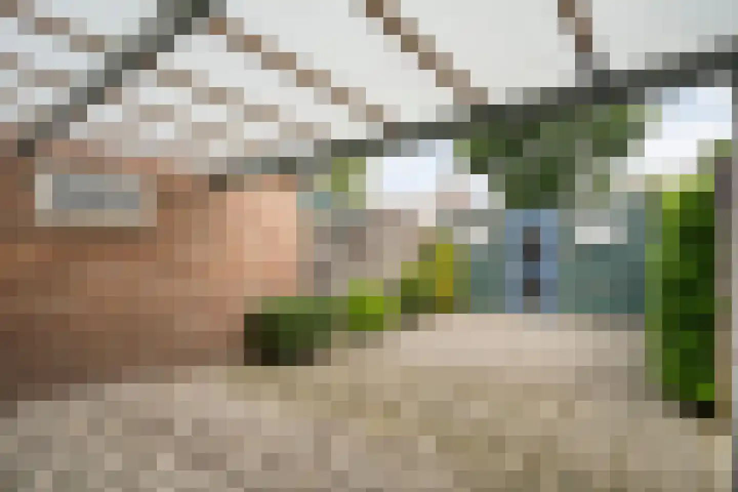 Hortensiastraat 28 Dedemsvaart thumbnail 22