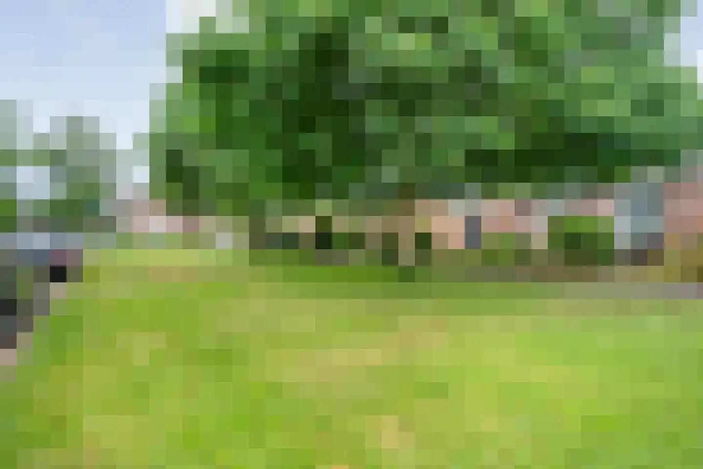Hortensiastraat 28 Dedemsvaart thumbnail 4