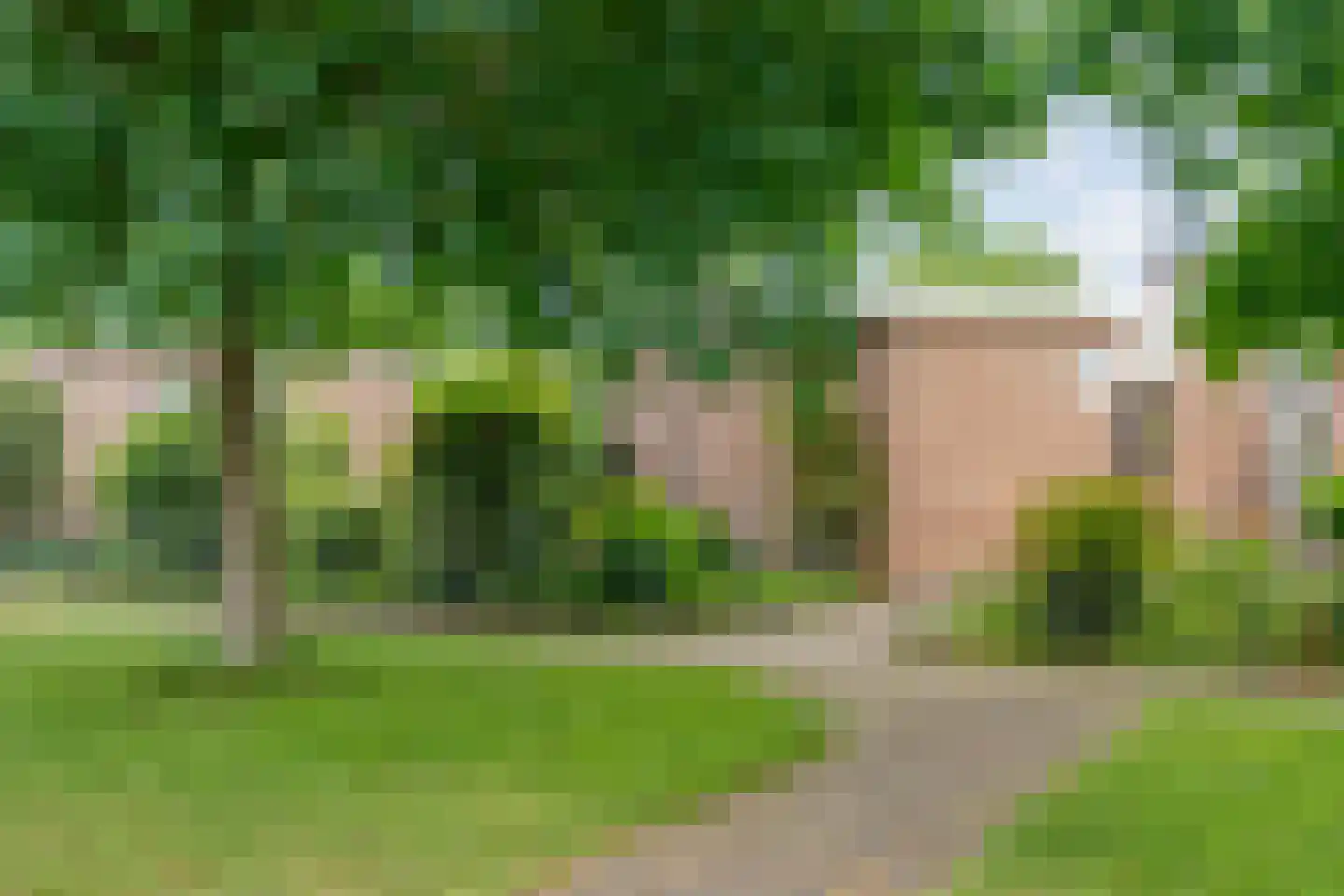 Hortensiastraat 28 Dedemsvaart thumbnail 5