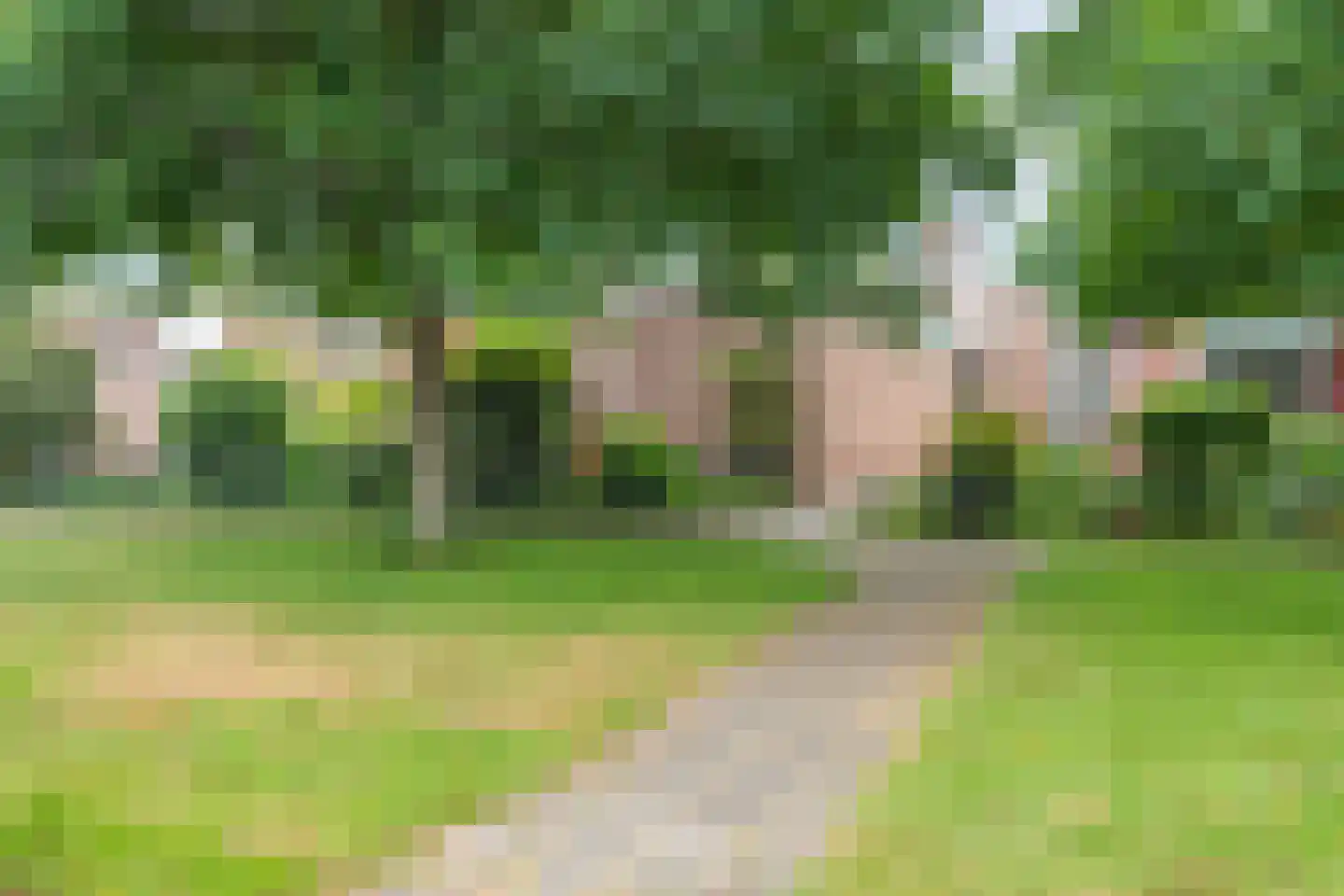 Hortensiastraat 28 Dedemsvaart thumbnail 6