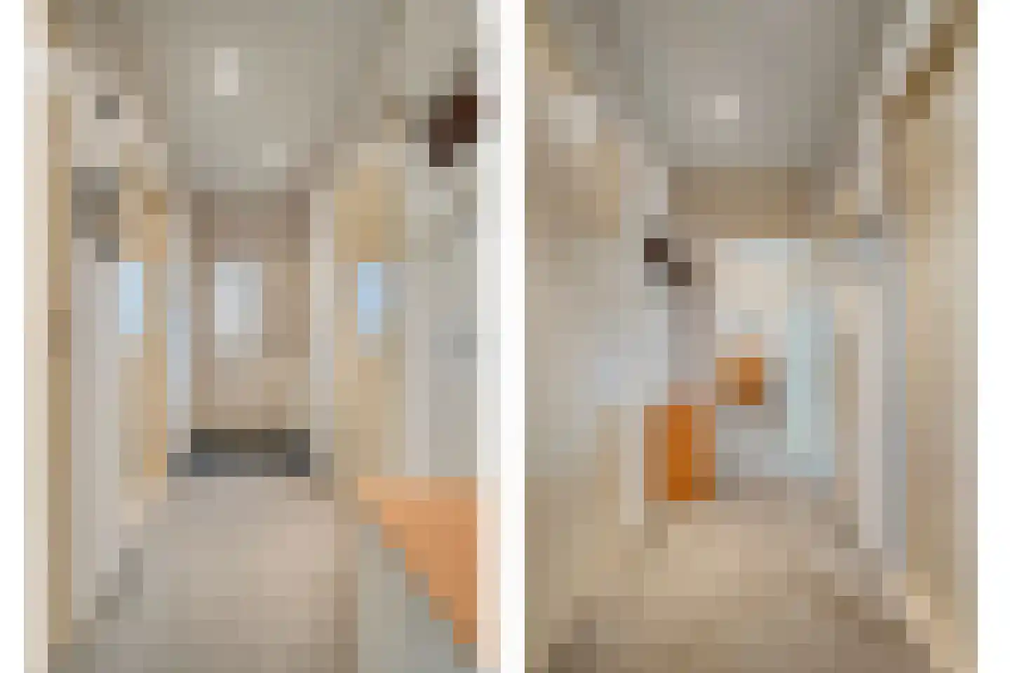 Hortensiastraat 28 Dedemsvaart thumbnail 7