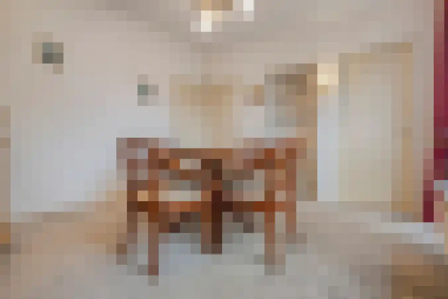 Hortensiastraat 28 Dedemsvaart thumbnail 8