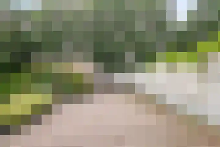 Hortensiastraat 28 Venlo thumbnail 25