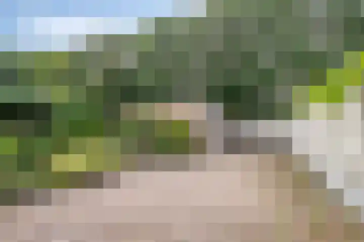 Hortensiastraat 28 Venlo thumbnail 26
