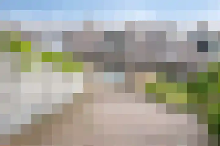 Hortensiastraat 28 Venlo thumbnail 27