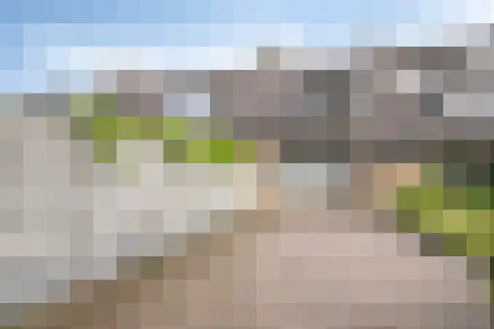 Hortensiastraat 28 Venlo thumbnail 28
