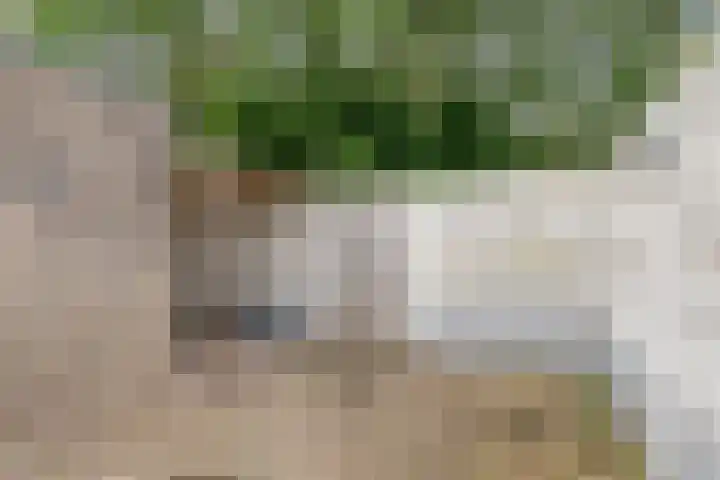 Hortensiastraat 28 Venlo thumbnail 29