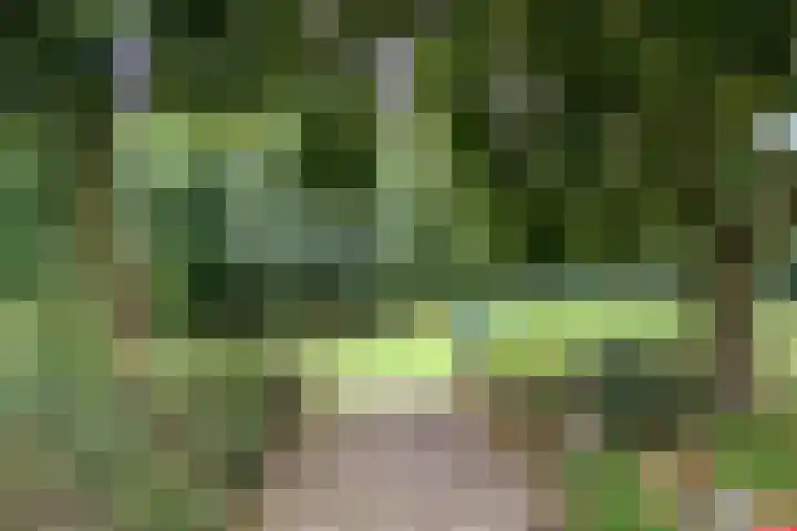 Hortensiastraat 28 Venlo thumbnail 31