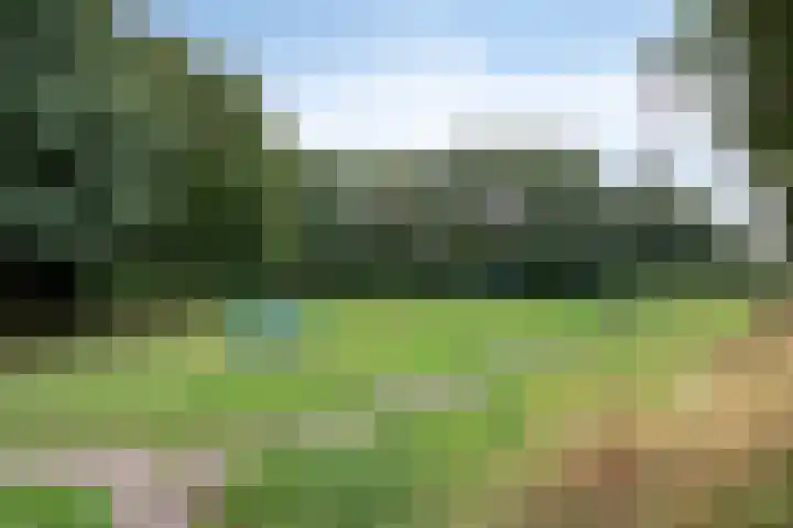 Hortensiastraat 28 Venlo thumbnail 32