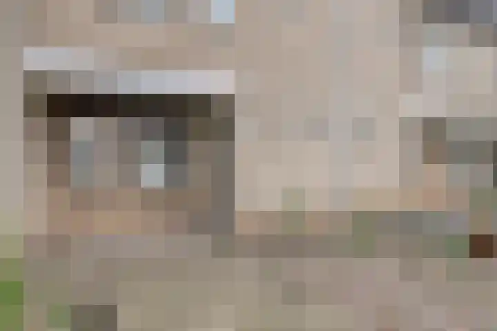 Hortensiastraat 28 Venlo thumbnail 37