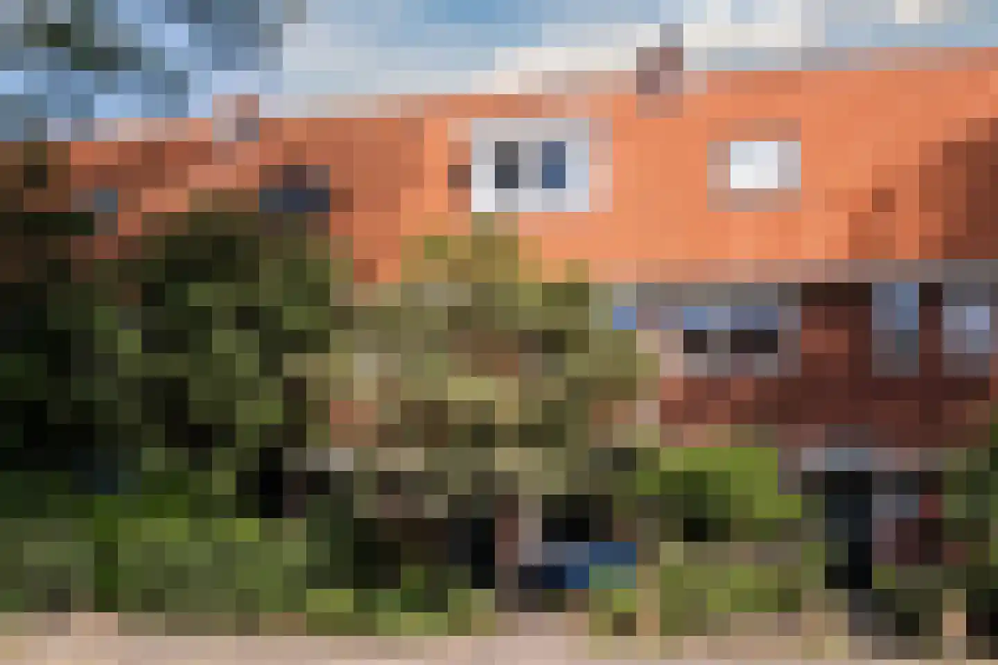 Hortensiastraat 29 Eindhoven