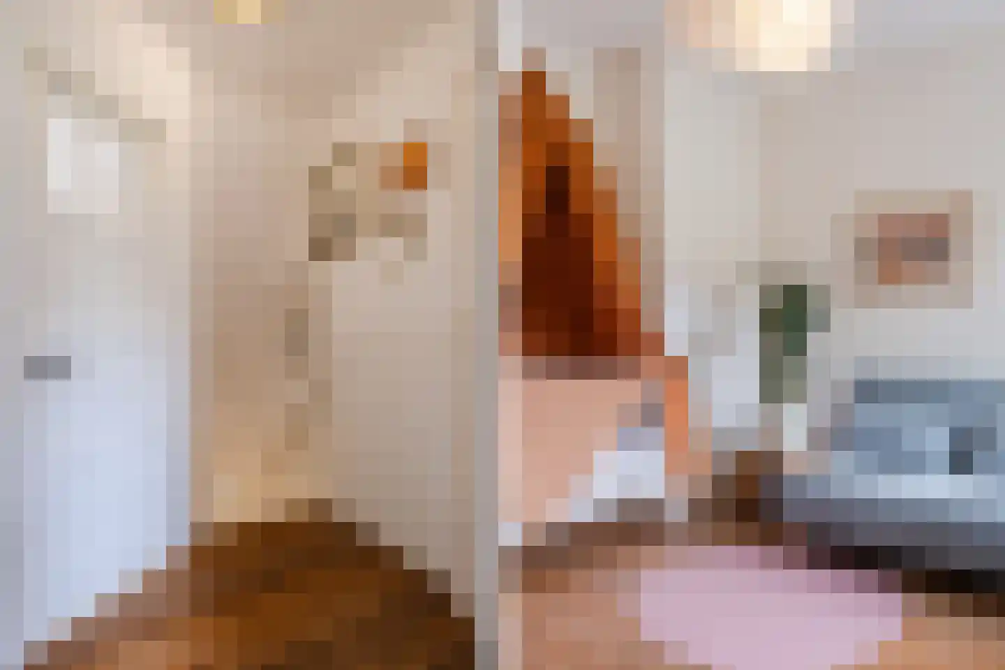 Hortensiastraat 29 Eindhoven thumbnail 19