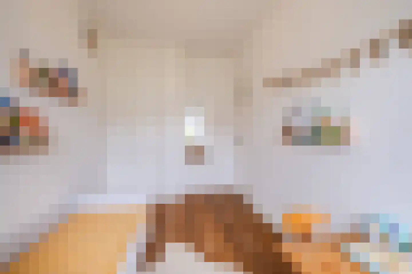 Hortensiastraat 29 Eindhoven thumbnail 24