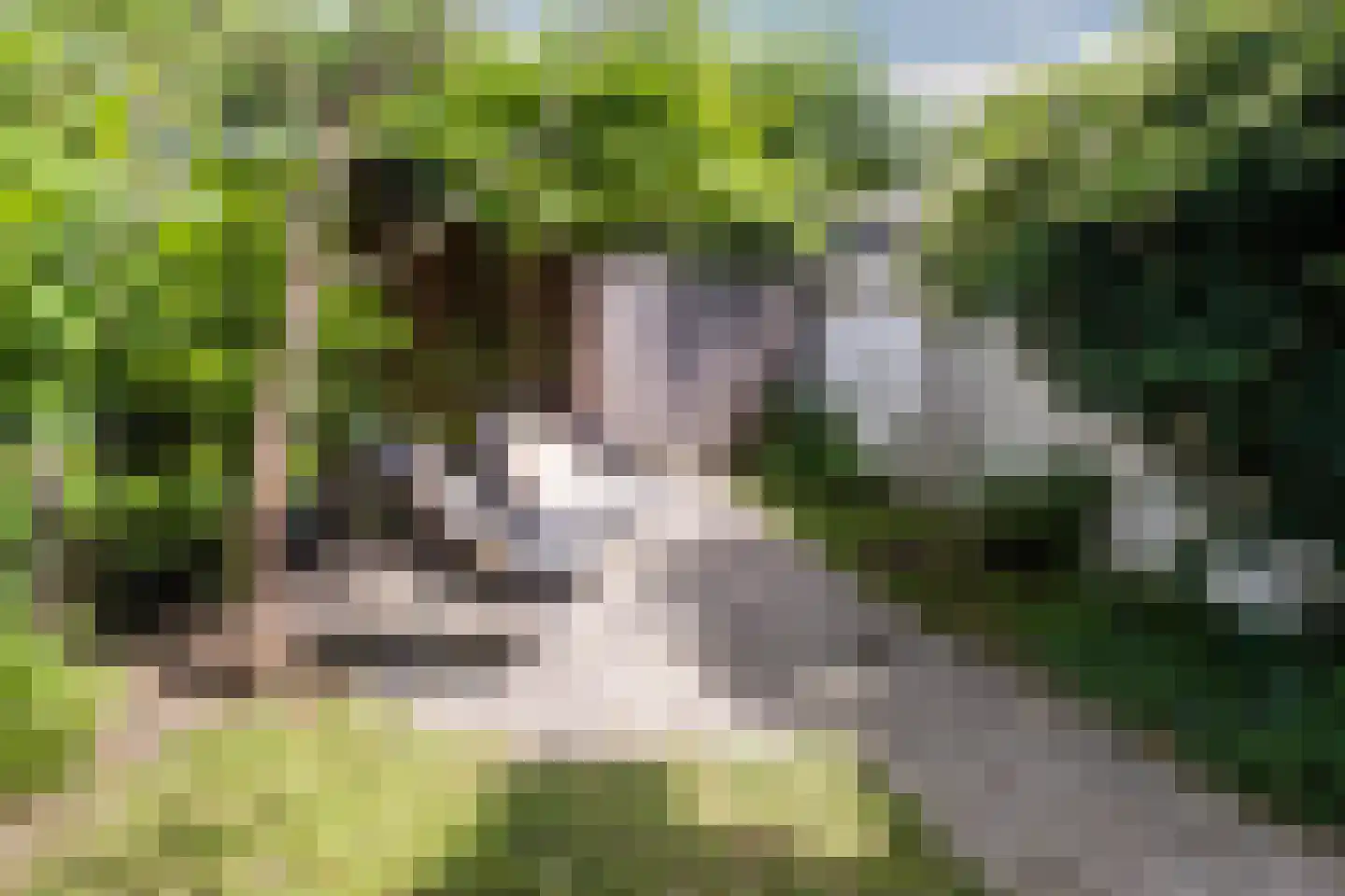 Hortensiastraat 29 Eindhoven thumbnail 32