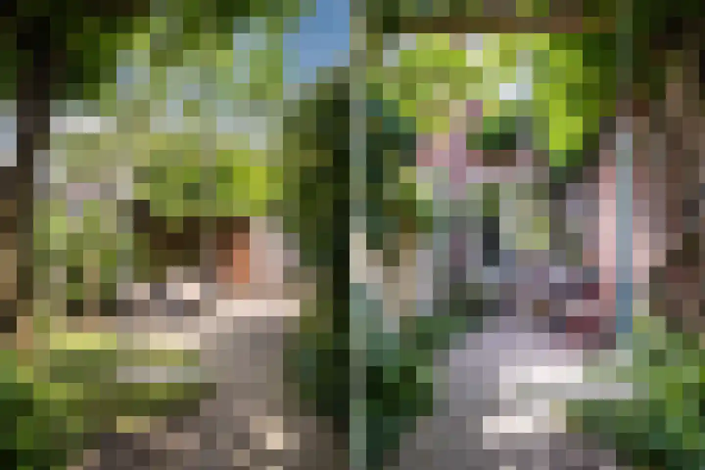 Hortensiastraat 29 Eindhoven thumbnail 33
