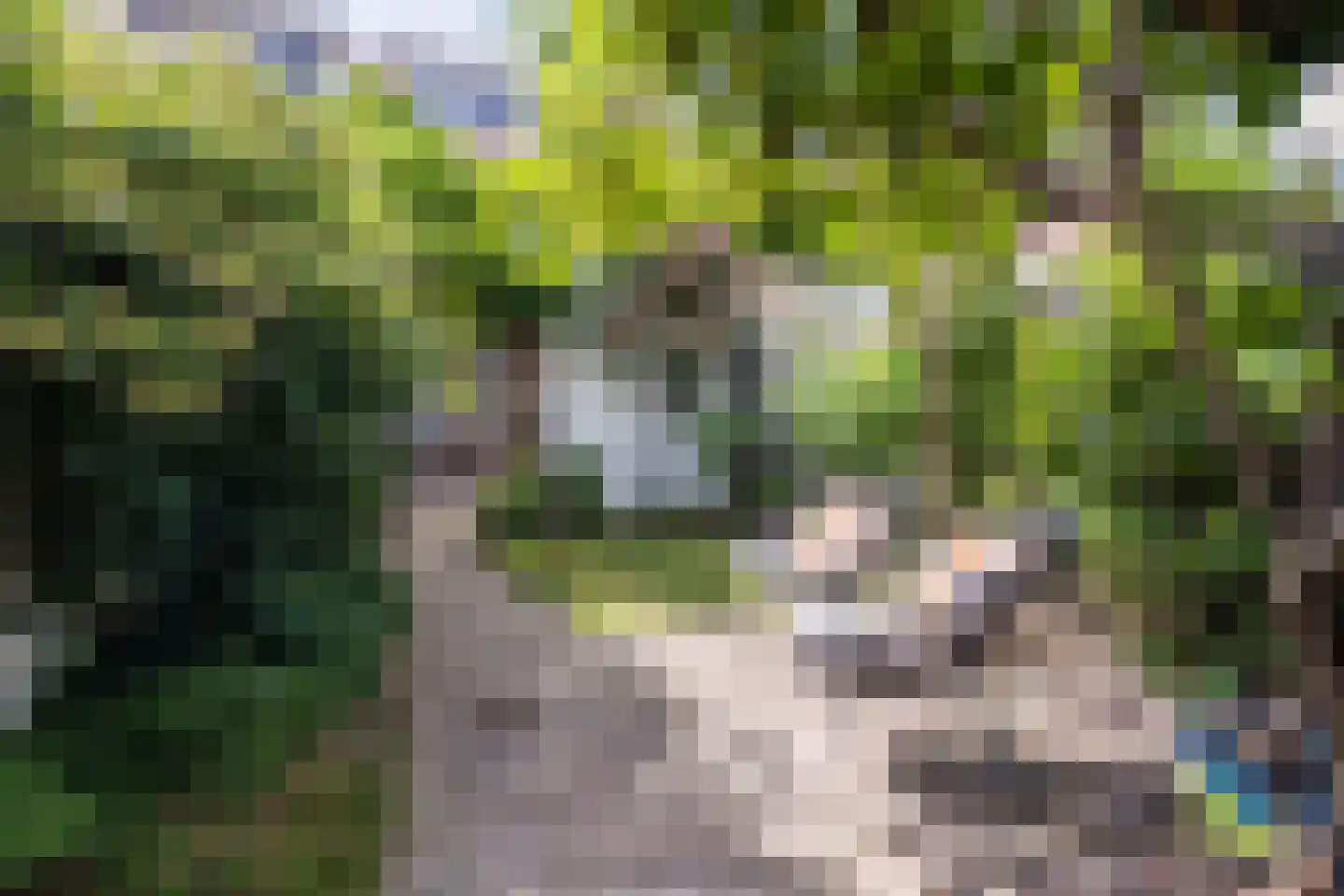 Hortensiastraat 29 Eindhoven thumbnail 34