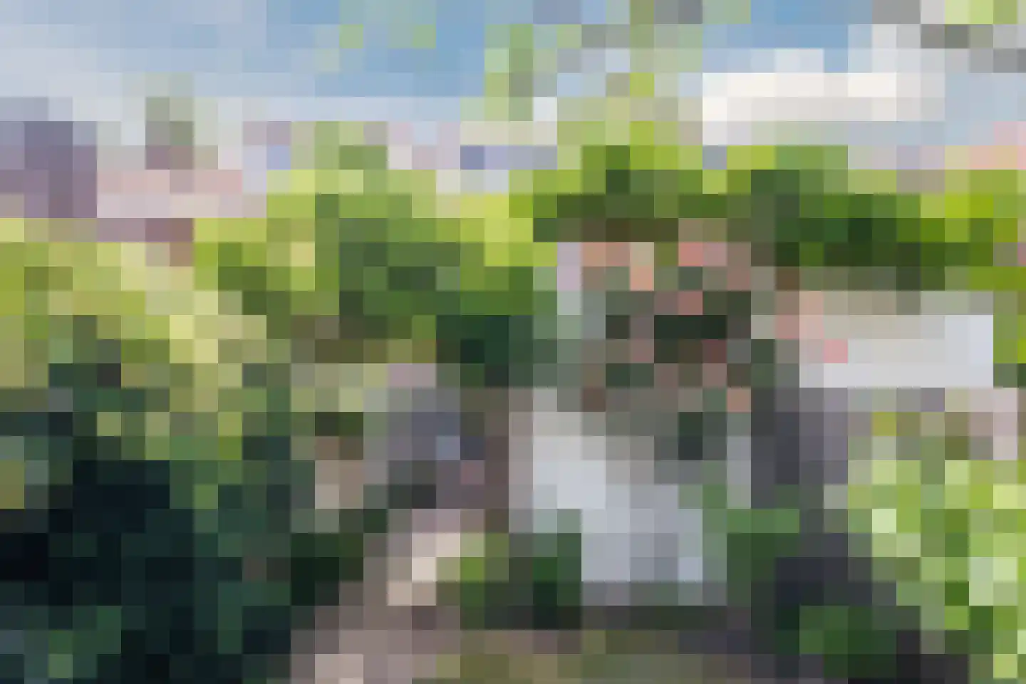 Hortensiastraat 29 Eindhoven thumbnail 35