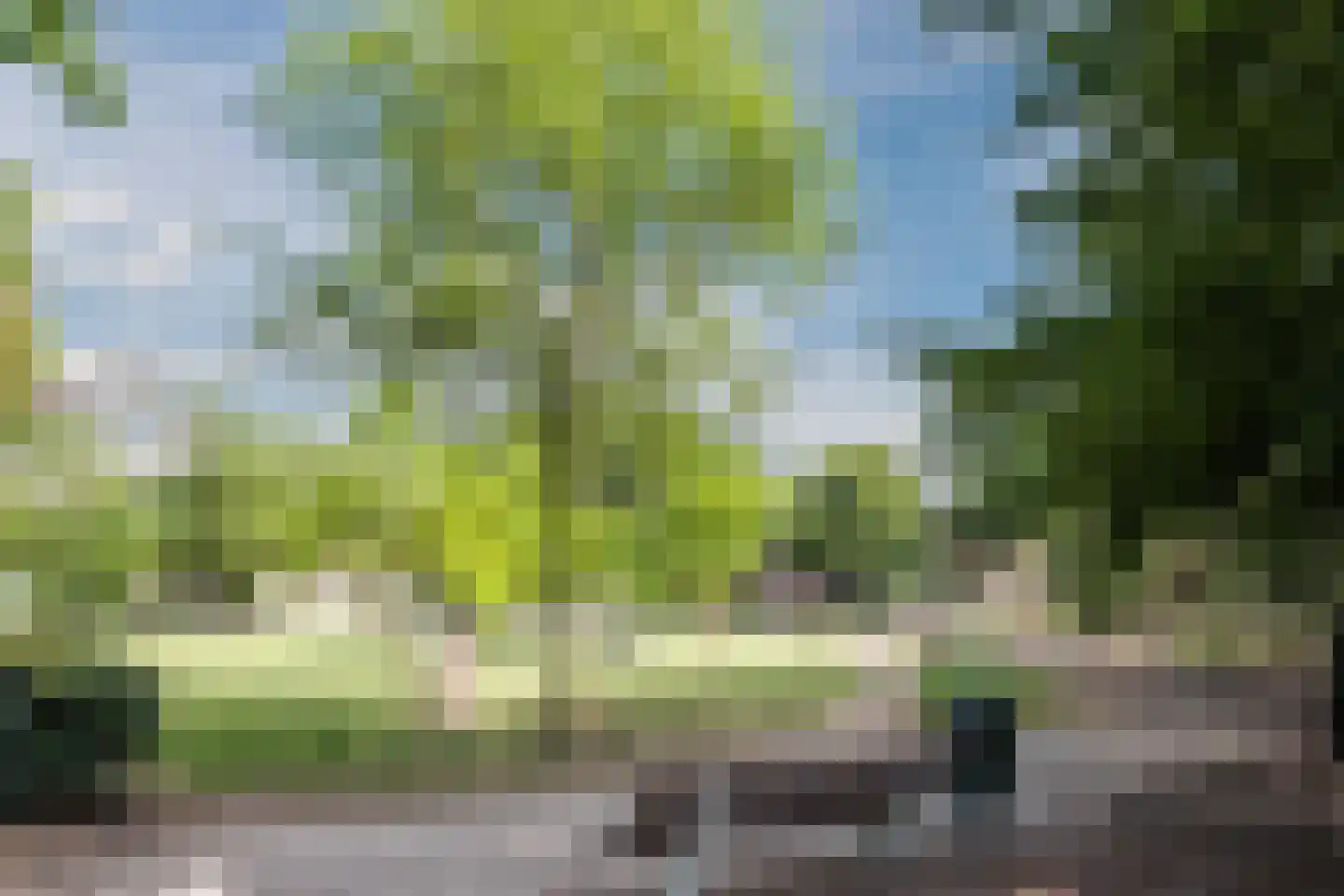 Hortensiastraat 29 Eindhoven thumbnail 38