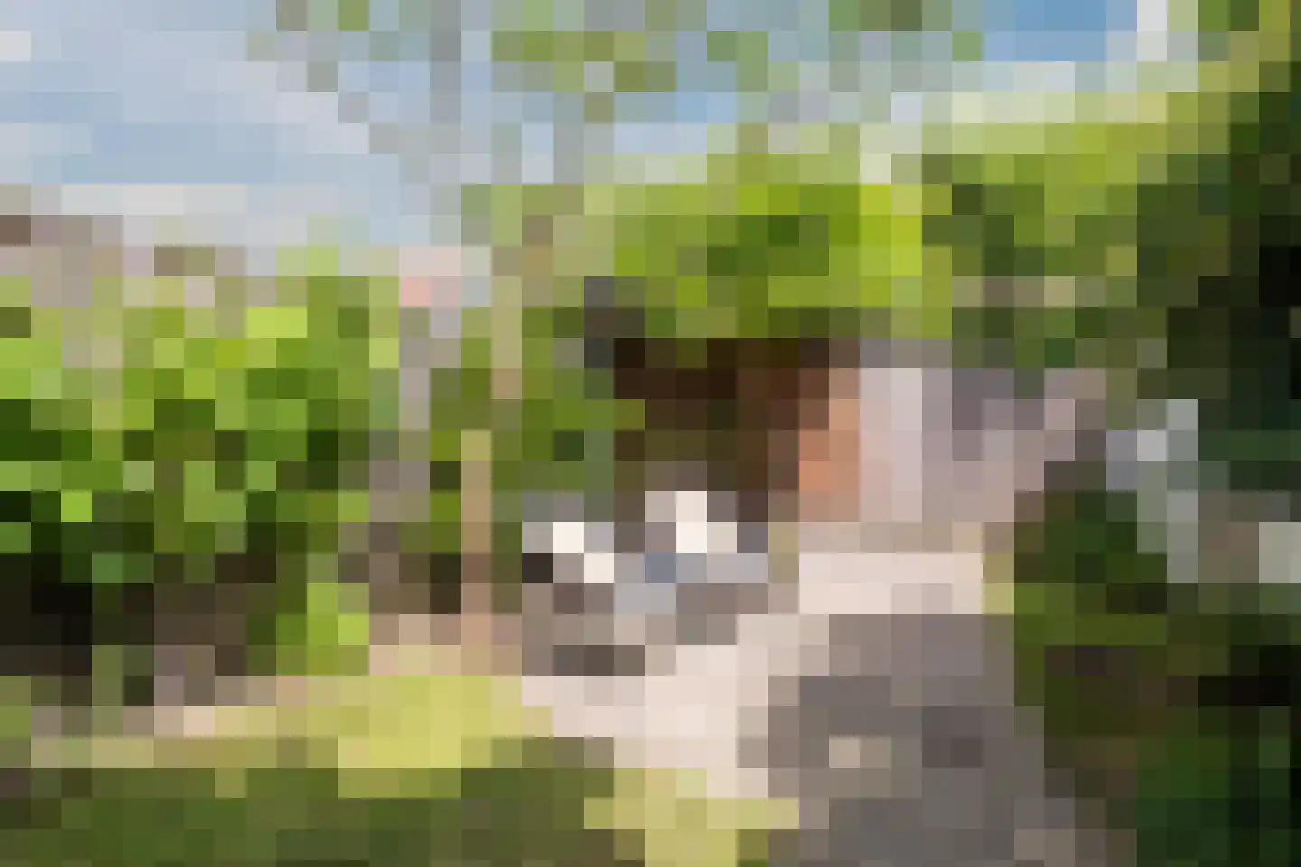 Hortensiastraat 29 Eindhoven thumbnail 5