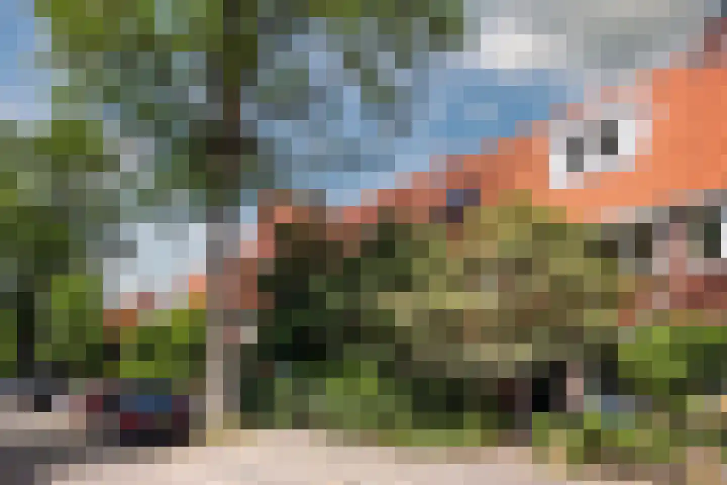 Hortensiastraat 29 Eindhoven thumbnail 6
