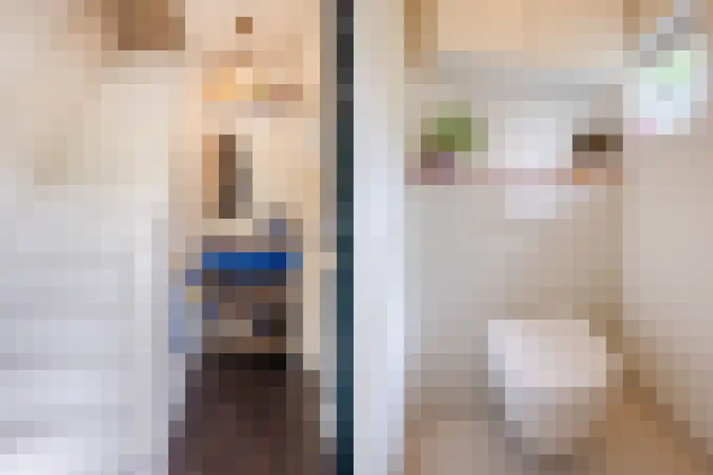 Hortensiastraat 29 Eindhoven thumbnail 9