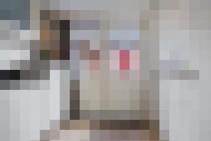 Hortensiastraat 3 Assen thumbnail 18
