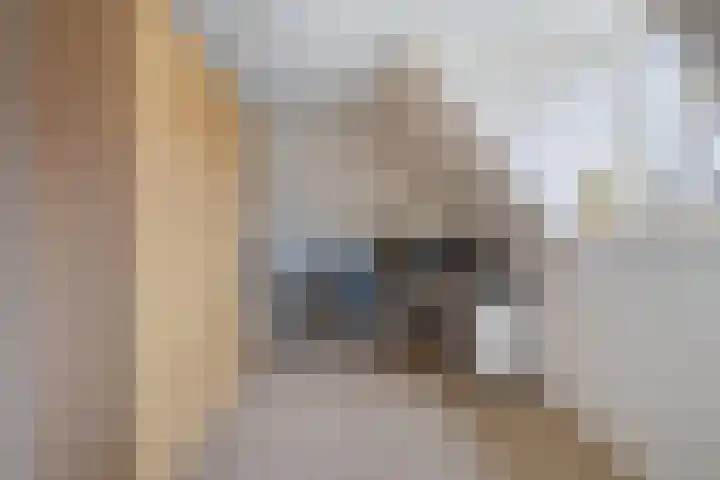Hortensiastraat 3 Assen thumbnail 29