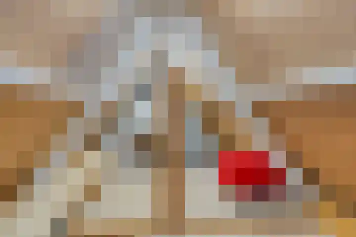 Hortensiastraat 3 Assen thumbnail 32