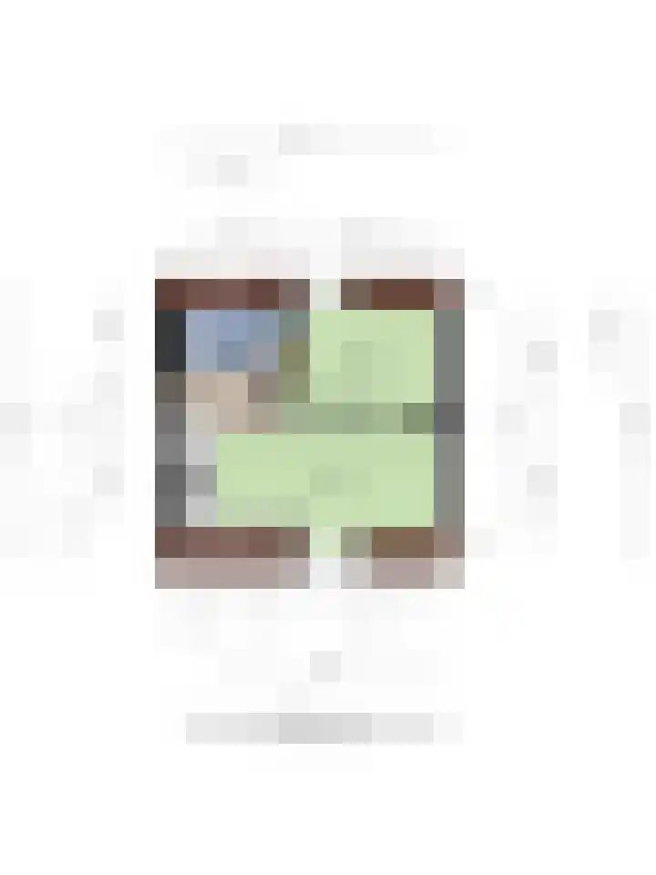 Hortensiastraat 3 Assen thumbnail 43