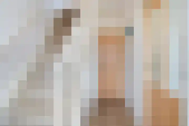Hortensiastraat 3 Assen thumbnail 5