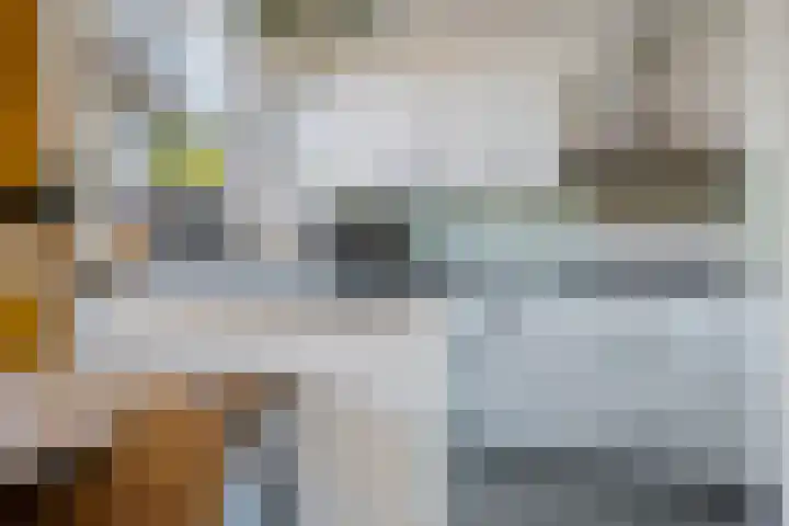 Hortensiastraat 3 Bovensmilde thumbnail 10