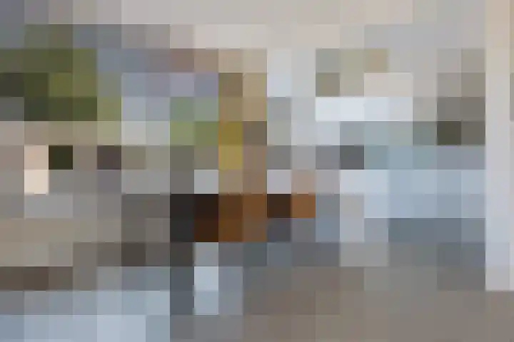 Hortensiastraat 3 Bovensmilde thumbnail 11