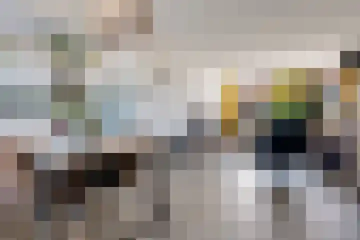 Hortensiastraat 3 Bovensmilde thumbnail 12