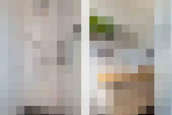 Hortensiastraat 3 Bovensmilde thumbnail 22