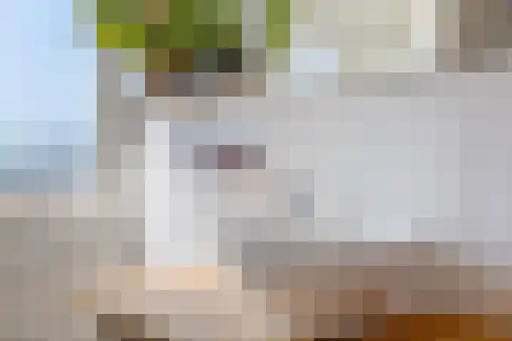 Hortensiastraat 3 Bovensmilde thumbnail 23