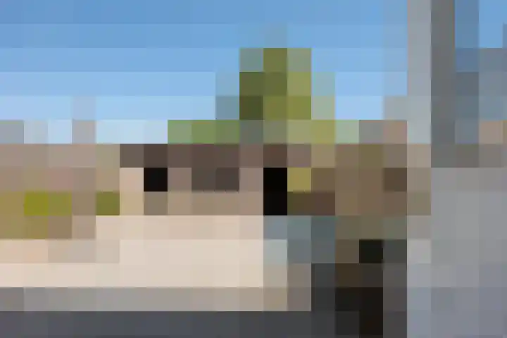 Hortensiastraat 3 Bovensmilde thumbnail 24
