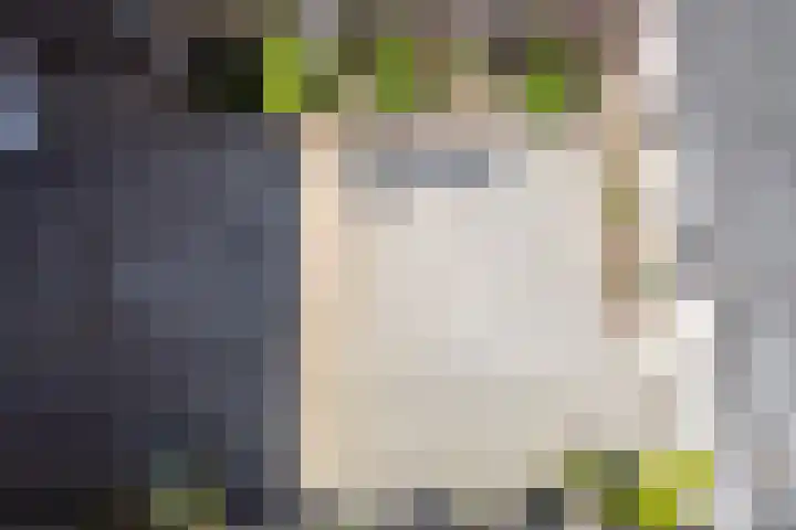 Hortensiastraat 3 Bovensmilde thumbnail 30