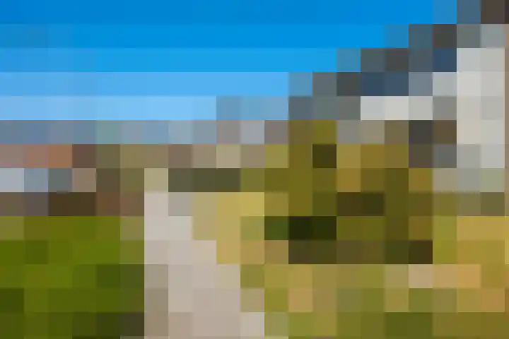 Hortensiastraat 3 Bovensmilde thumbnail 33