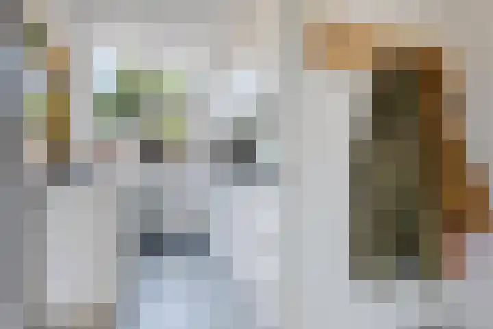 Hortensiastraat 3 Bovensmilde thumbnail 6